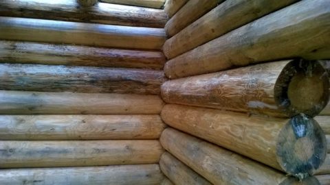 Как климатические воздействия влияют на состояние древесины