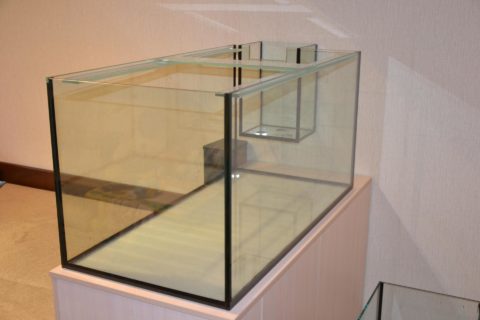 Собранный аквариум