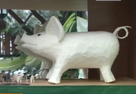 Приклеиваем  или рисуем глазки