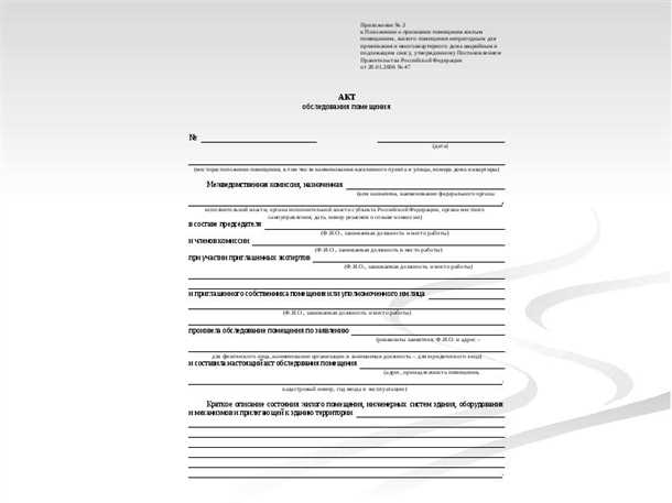 Проверка состояния стен и потолка в подвальном помещении