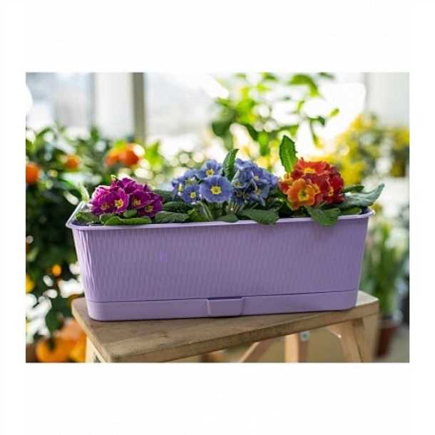 1. Размер и форма