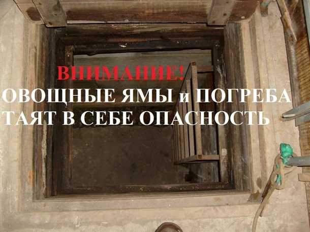 Влажность и плесень