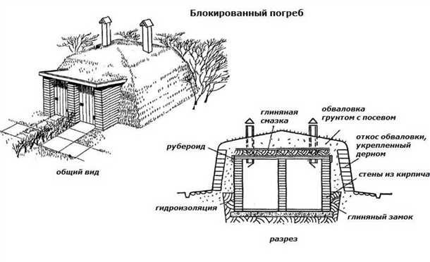 Осмотр погреба