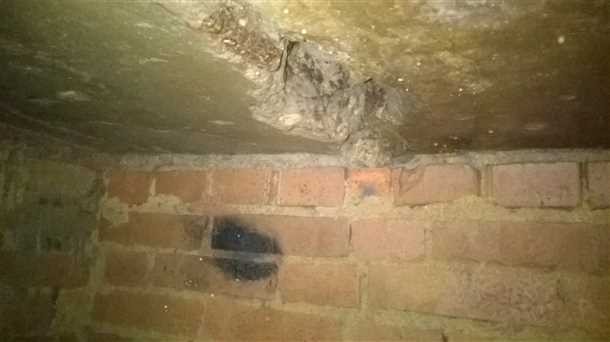 Палки или ломтики крошек