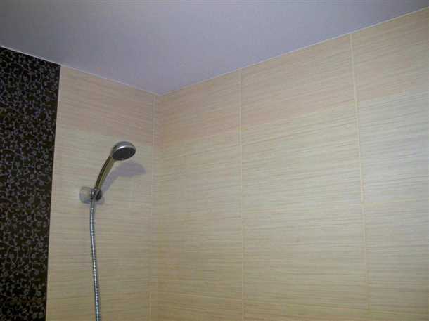 Материалы для покраски потолка в ванной