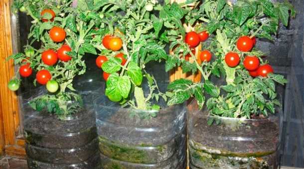 Керамические горшки