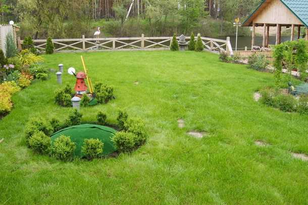Дерево