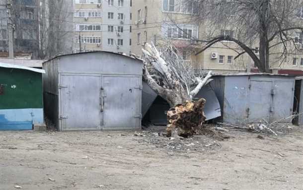 Шаги по удалению дерева