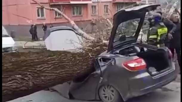 Регулярное обслуживание