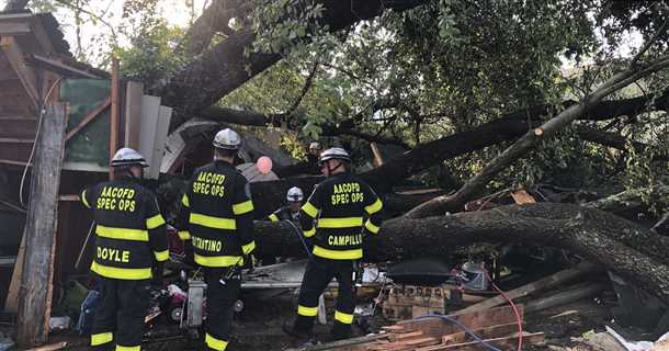 Как предупредить падение дерева на гараж