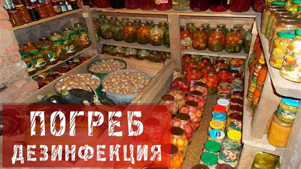 Особенности проведения дезинфекции подвала