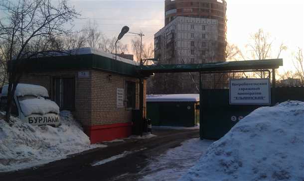 Исполнительные органы: