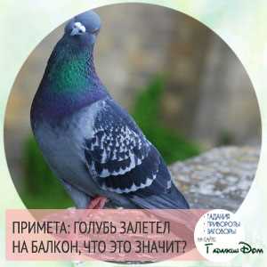 2. Голуби в религиозных верованиях