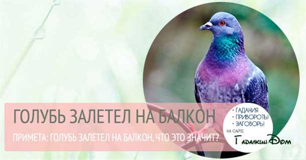 1. Позитивные суеверия