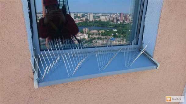 Бардеры и сетки: насколько эффективны?