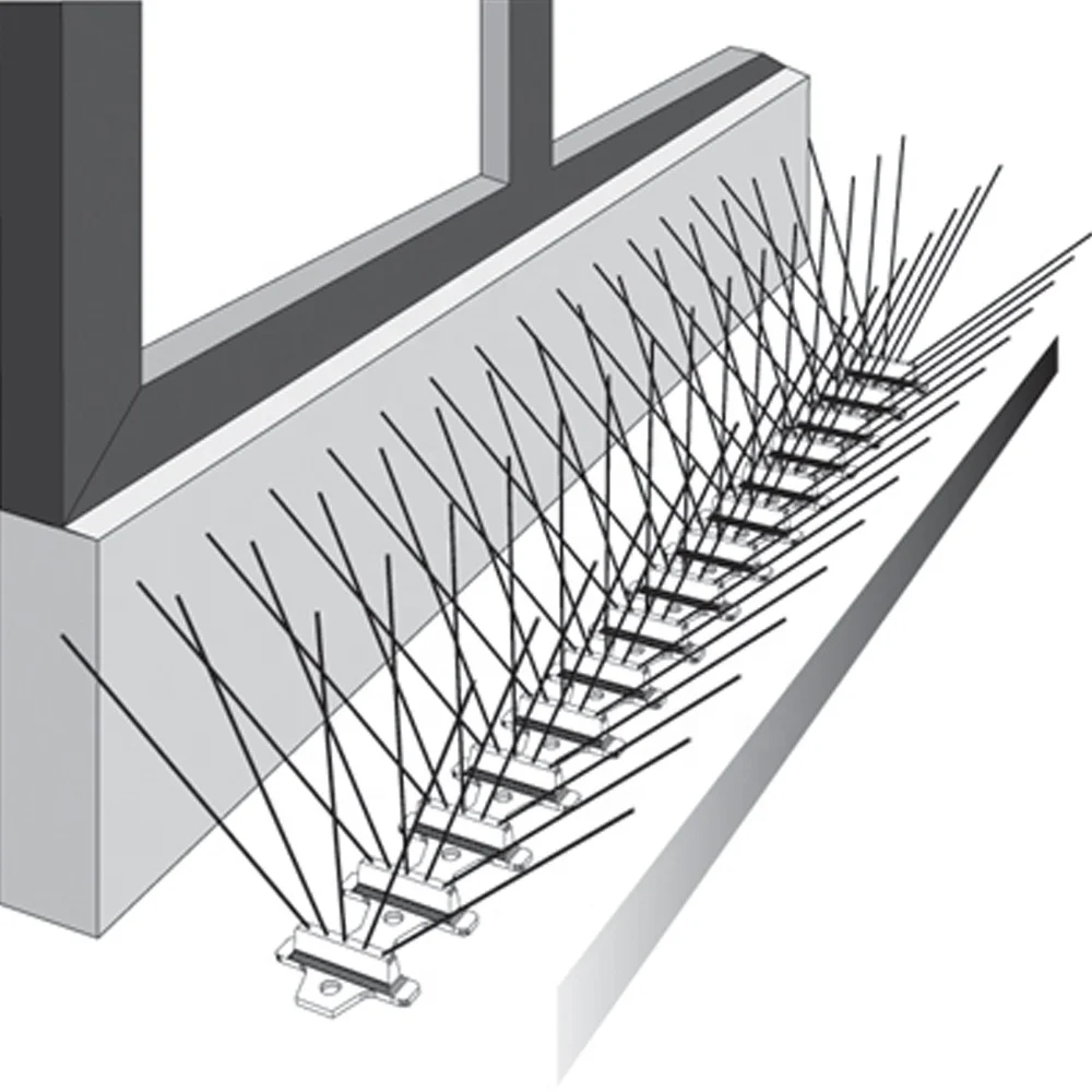 Какие проблемы могут вызвать голуби на балконе?