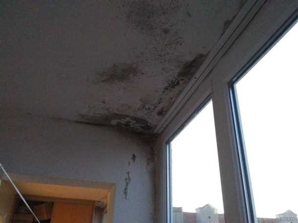 4. Регулярная уборка