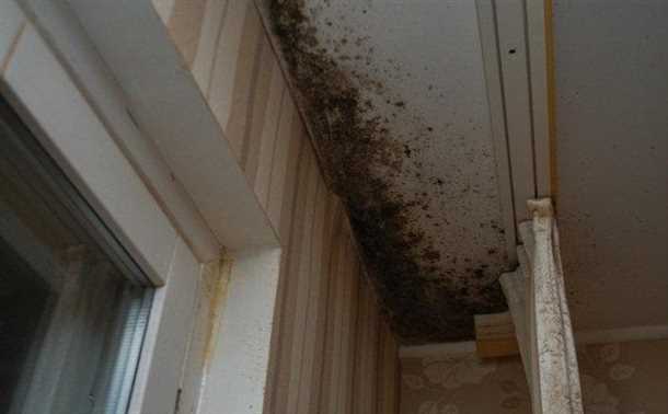 Как избавиться от плесени на балконе