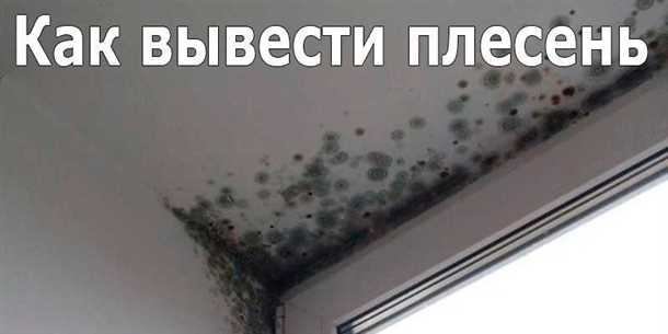 Рекомендации по использованию химических препаратов