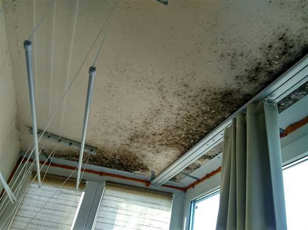 Эффективные способы избавления от плесени на балконе Как избавиться от плесени на балконе