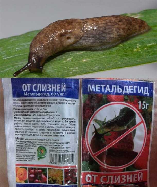 Разрушительные последствия