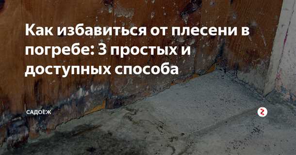 Как поддерживать оптимальный влажностный режим для предотвращения плесени
