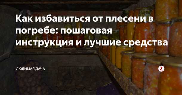 Как избавиться в погребе от плесени. Как избавиться в погребе от плесени