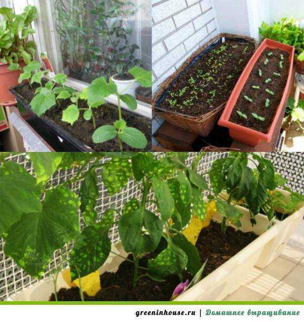 Выбор подложки