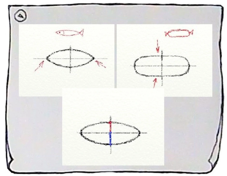 Как на потолке нарисовать овал
