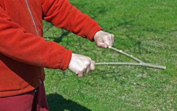 Проверка качества воды из колодца