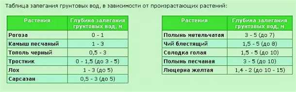 Как контролировать уровень грунтовых вод в подвалах и погребах