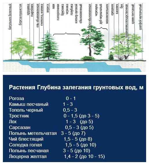 Методы измерения уровня грунтовых вод