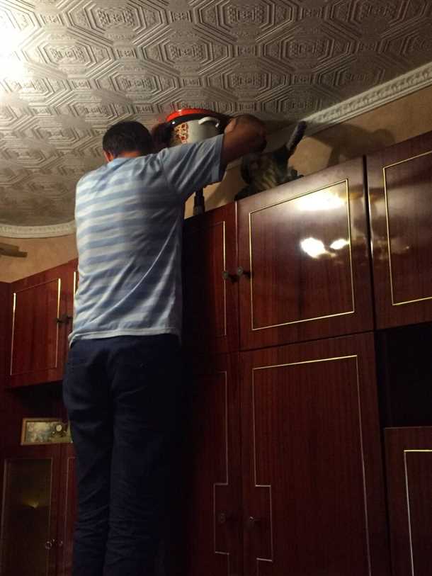 Варианты прикольных плакатов на стенах: