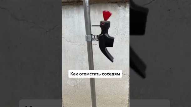 Ночные звуки и шумные празднования