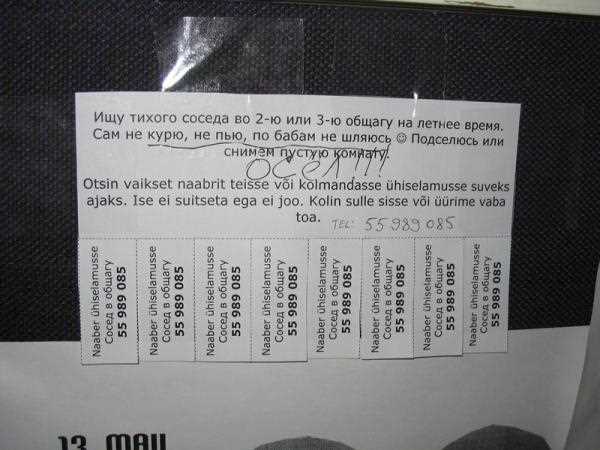 Как отомстить соседу по гаражу Как отомстить соседу по гаражу