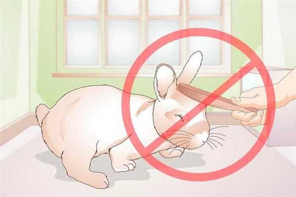 2. Отложения зубного налета