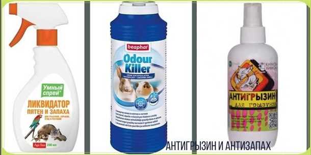 Как отучить кролика грызть обои