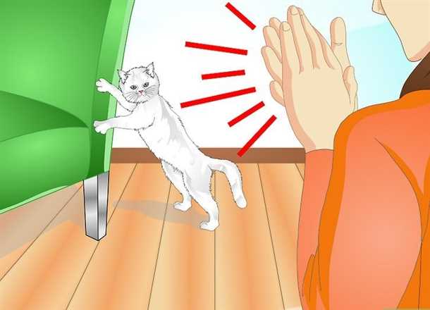 1. Ветеринар