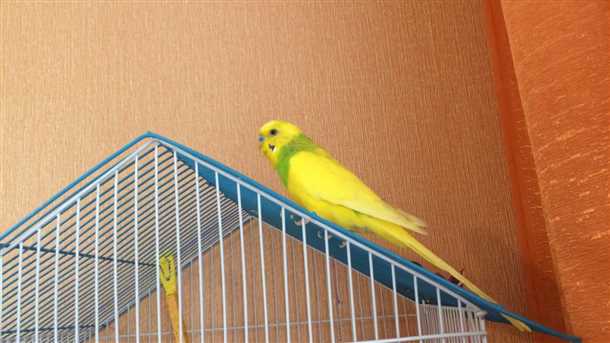 Некомфортное содержание