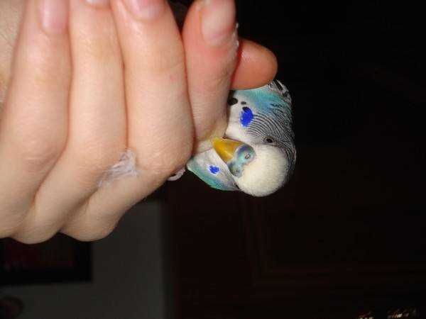 Создайте безопасное окружение