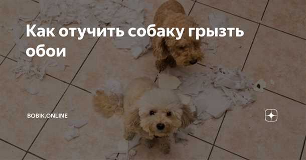 2. Предоставление альтернатив