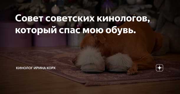 Скука и одиночество