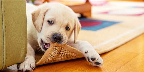 Учет особенностей породы