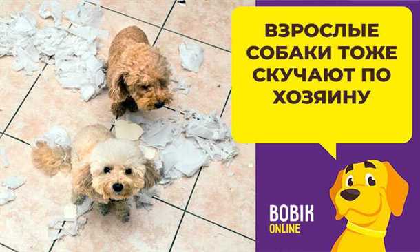 Награждение и поощрение