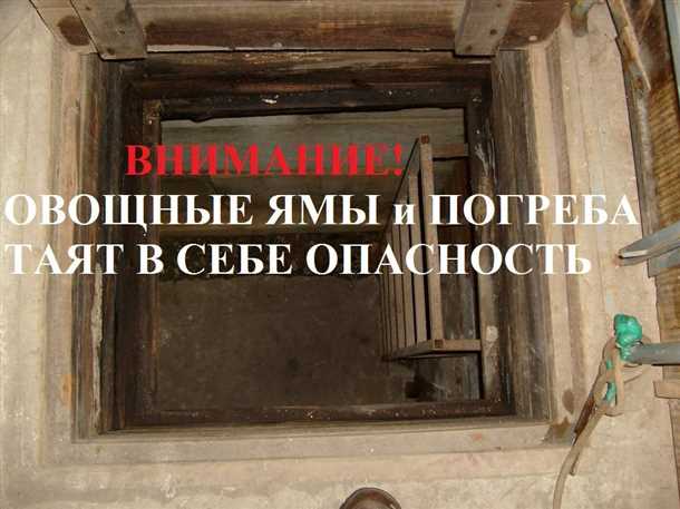 Как подготовить погреб к зиме Как подготовить погреб к зиме