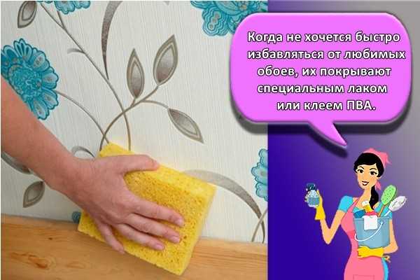 2. Специальные чистящие средства