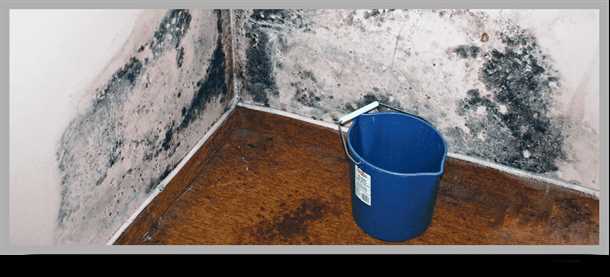 Шаг 1: Подготовка