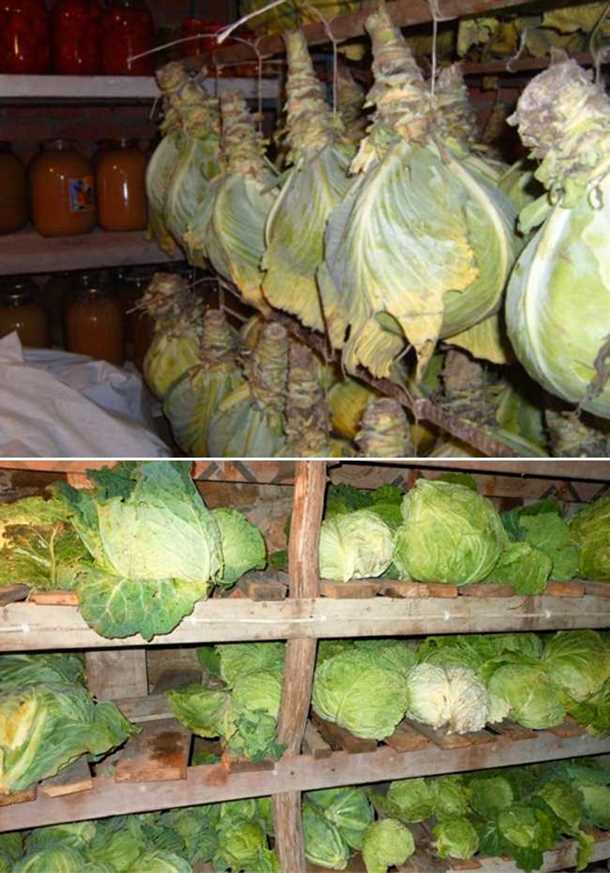 Важное напоминание: