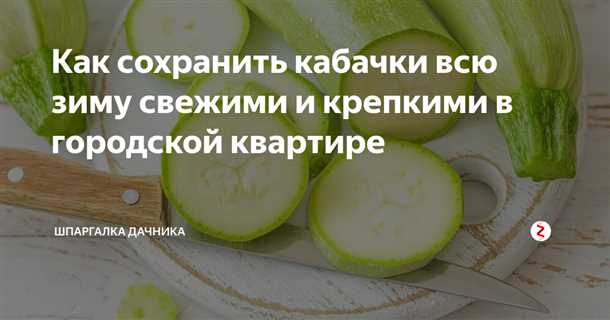 Способы сохранения кабачков в подвале Как сохранить кабачки в подвале