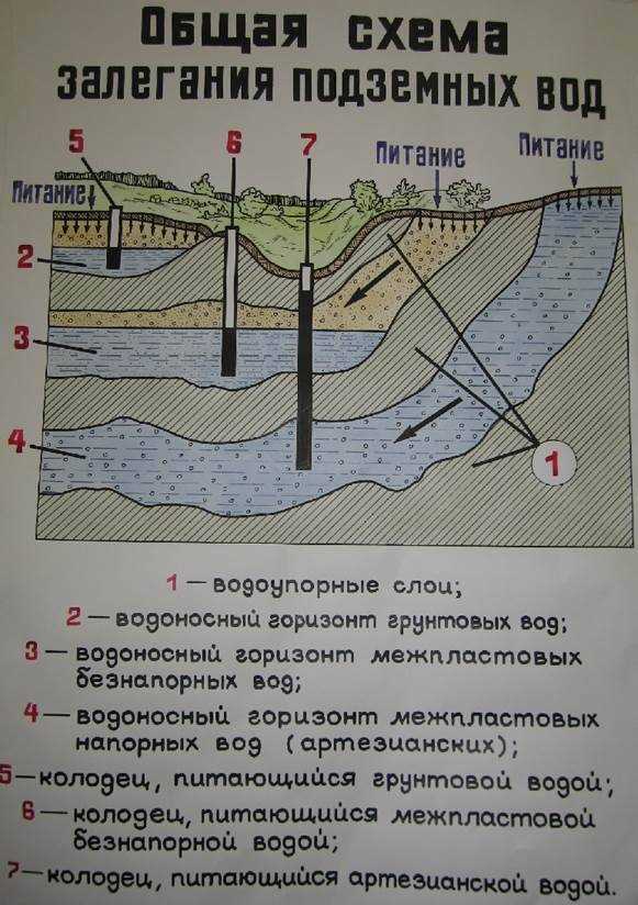 Действия при высоком уровне грунтовых вод: защита подвала и погреба